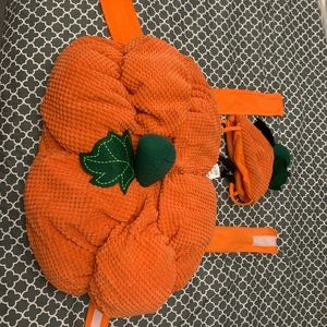 XXXL pumpkin dog costume